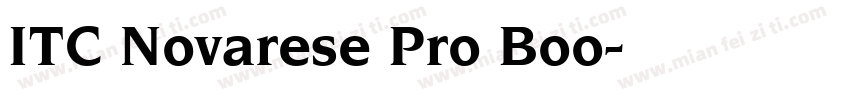 ITC Novarese Pro Boo字体转换